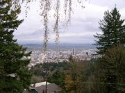 11.13.05 Arboretum-Pittock Mansion-Macleay Park 016 